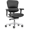 Eurotech Ergohuman LE10ERGLO-GEN2 Leather Seat and Back Office Chair