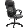 Eurotech Pembroke High Back Executive Leather Chair LE521