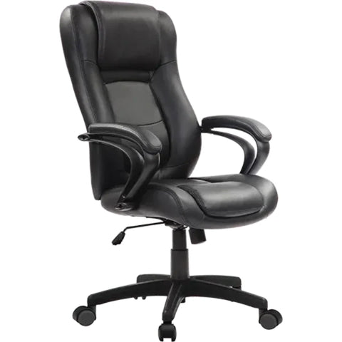 Eurotech Pembroke High Back Executive Leather Chair LE521