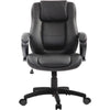 Eurotech Pembroke Mid Back Executive Leather Chair LE522
