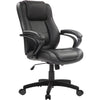 Eurotech Pembroke Mid Back Executive Leather Chair LE522