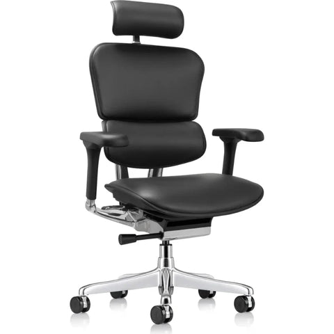 Eurotech Ergohuman LE9ERG-GEN2 Leather Seat and Back Office Chair
