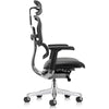 Eurotech Ergohuman LE9ERG-GEN2 Leather Seat and Back Office Chair