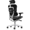 Eurotech Ergohuman LE9ERG-GEN2 Leather Seat and Back Office Chair