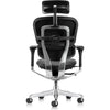 Eurotech Ergohuman LE9ERG-GEN2 Leather Seat and Back Office Chair