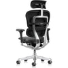 Eurotech Ergohuman LE9ERG-GEN2 Leather Seat and Back Office Chair