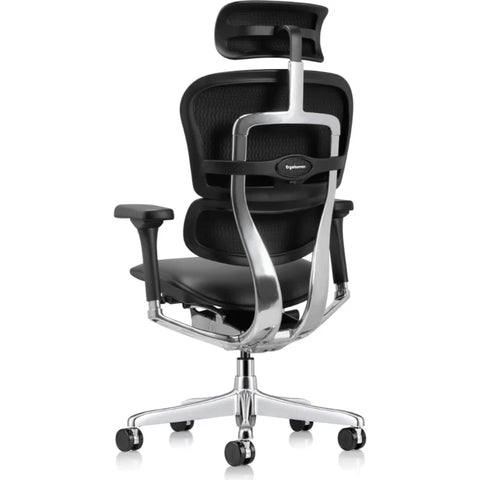 Eurotech Ergohuman LE9ERG-GEN2 Leather Seat and Back Office Chair