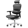 Eurotech Ergohuman LE9ERG-GEN2 Leather Seat and Back Office Chair