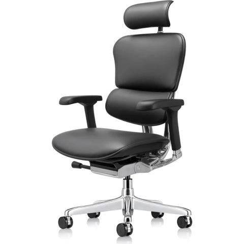 Eurotech Ergohuman LE9ERG-GEN2 Leather Seat and Back Office Chair