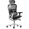 Eurotech Ergohuman LEM4ERG-GEN2 High Leather Seat & Mesh Back Office Chair