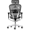 Eurotech Ergohuman LEM4ERG-GEN2 High Leather Seat & Mesh Back Office Chair