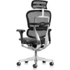 Eurotech Ergohuman LEM4ERG-GEN2 High Leather Seat & Mesh Back Office Chair