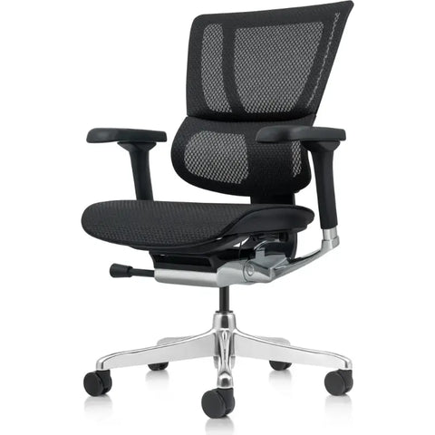 Eurotech Ergohuman Xtreme ME3ERG-XTREME-LO Midback Executive Chair