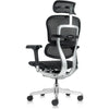 Eurotech Ergohuman ME7ERG-GEN2 High Back All Mesh Office Chair