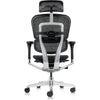 Eurotech Ergohuman ME7ERG-GEN2 High Back All Mesh Office Chair