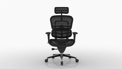 Ergonomic Office Chairs
