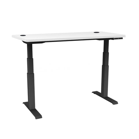 ergoCentric upCentric Rectangular 2 Leg Height Adjustable Table