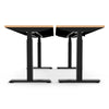 ergoCentric upCentric Rectangular 2 Leg Height Adjustable Table