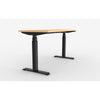 ergoCentric upCentric Rectangular 2 Leg Height Adjustable Table