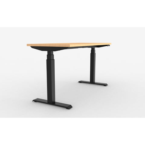 ergoCentric upCentric Rectangular 2 Leg Height Adjustable Table