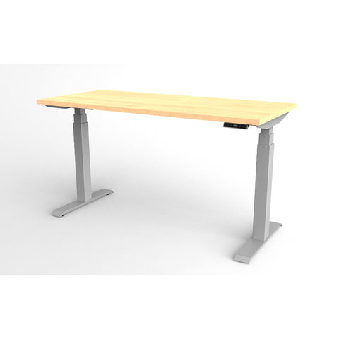 ergoCentric upCentric Rectangular 2 Leg Height Adjustable Table