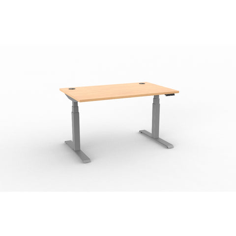 ergoCentric upCentric Rectangular 2 Leg Height Adjustable Table