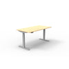 ergoCentric upCentric Rectangular 2 Leg Height Adjustable Table