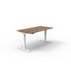 ergoCentric upCentric Rectangular 2 Leg Height Adjustable Table