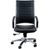 Eurotech Europa Leather Executive High Back Chair