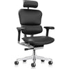 Eurotech Ergohuman Leather Seat and Back Gen2 Office Chair