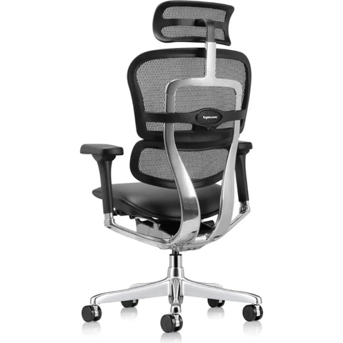 Eurotech Ergohuman High Leather Seat & Mesh Back GEN2 Office Chair