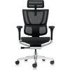 Eurotech Ergohuman Xtreme Executive Chair with Headrest