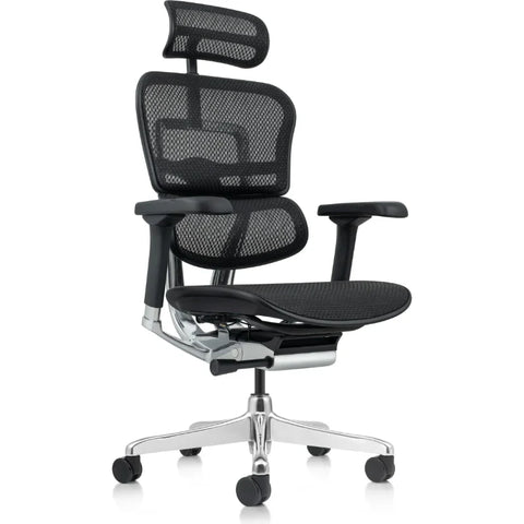 Eurotech Ergohuman GEN2 High Back All Mesh Office Chair